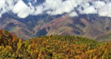 Mountain Scene