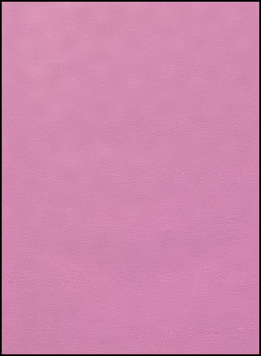 0003